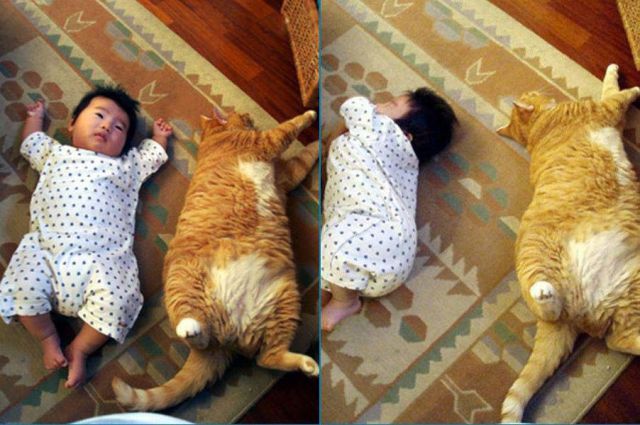 Possibly the Cutest Moments Ever Photographed