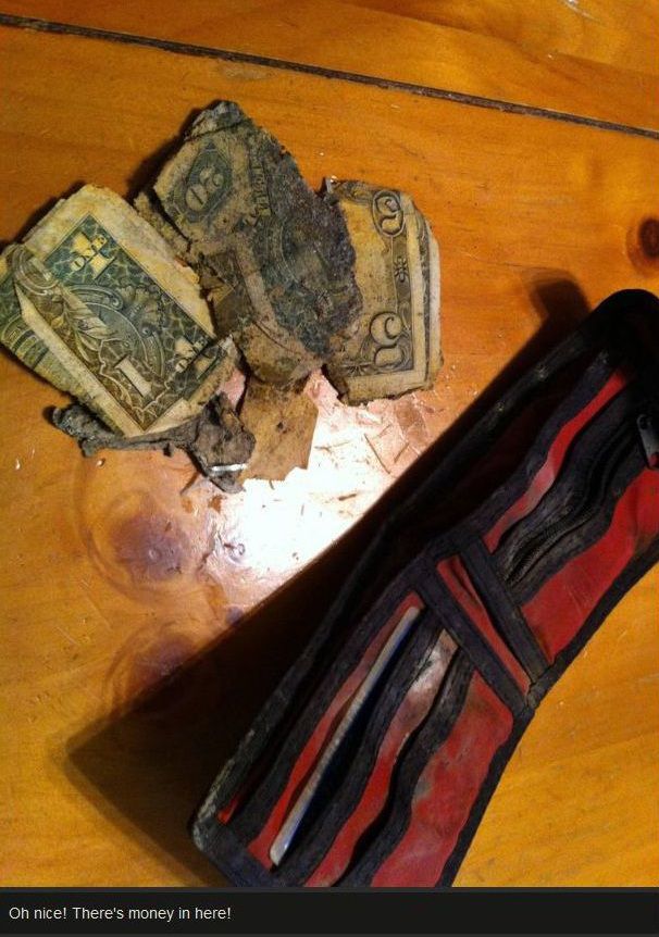 Lost Wallet Finds Its Owner after Over a Decade