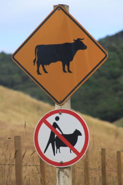 Hilarious Public Animal Signs