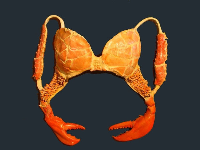 The Most Unconventional Bras Ever