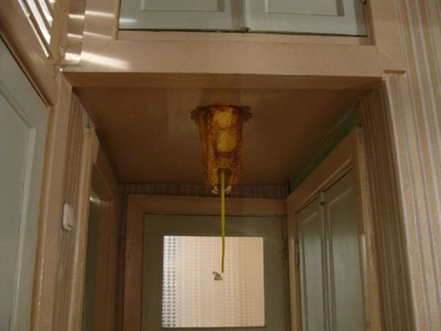 Amazing Half-Life Barnacle Ceiling Lamp