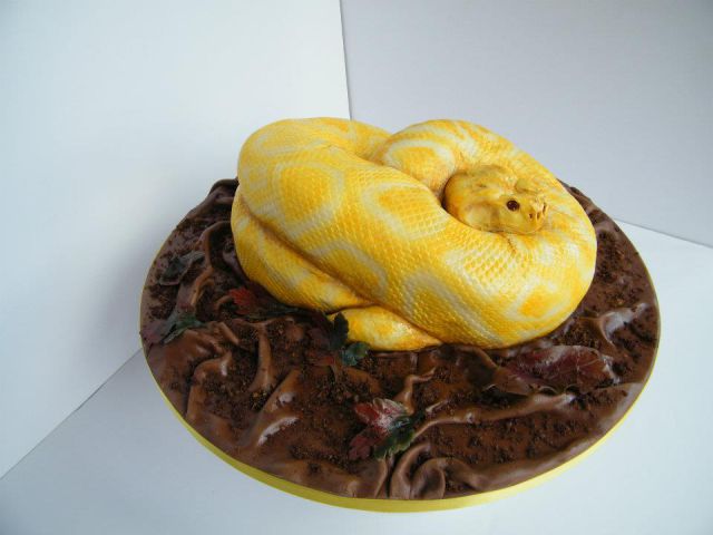How Would You Like a Python for Your Birthday?