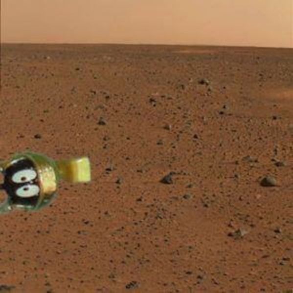 Internet Salutes Mars Rover Landing