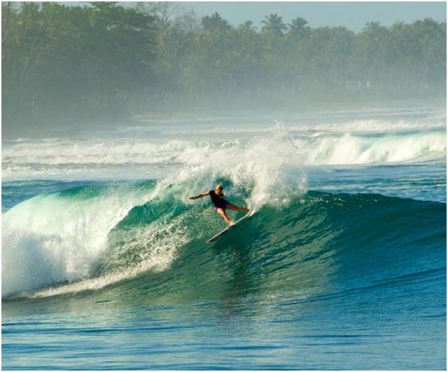 Awesome One-Armed Surfer (45 pics) - Izismile.com