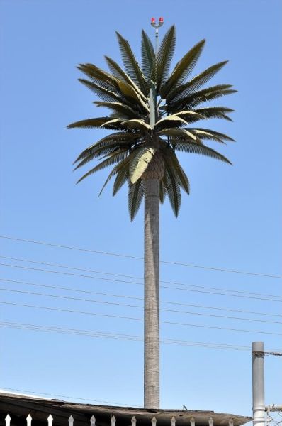 That’s How Cell Phone Towers Are Disguised