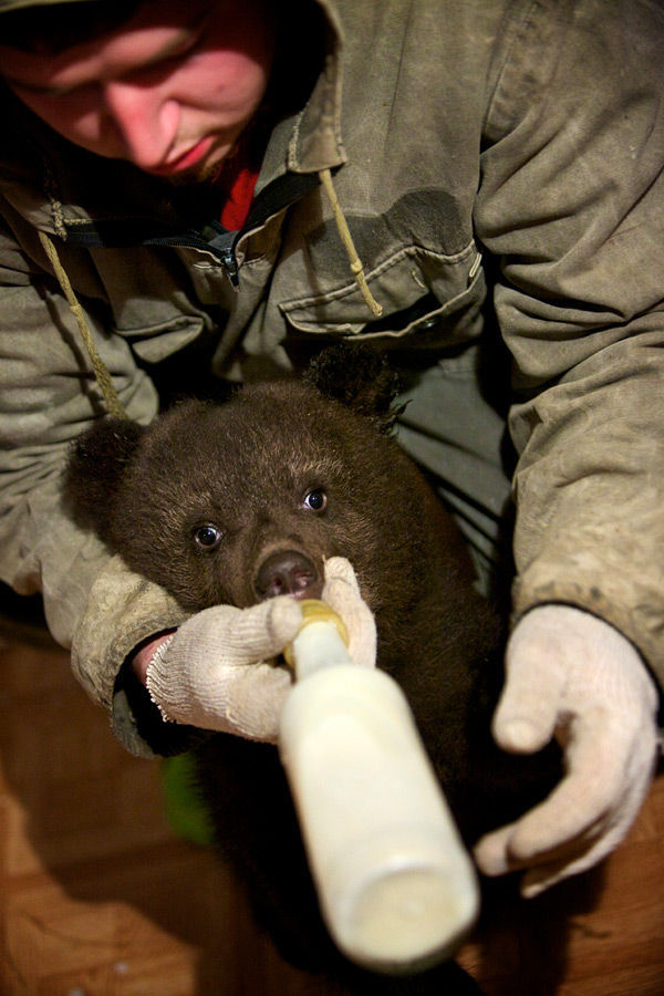 Russian Rescue Center for Bear Cubs