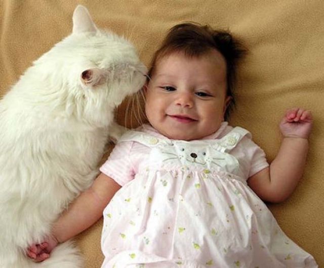 Babies and Cats Being Too Cute