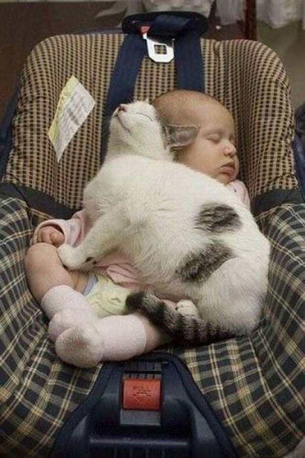 Babies and Cats Being Too Cute (25 pics) - Izismile.com