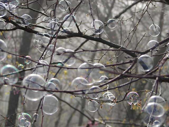 A Tree of Bubbles