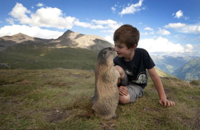 Amazing Friendship of a Boy and Marmots