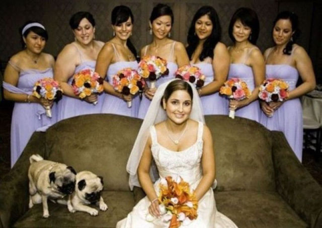 Hilarious Wedding Photobomb Selection