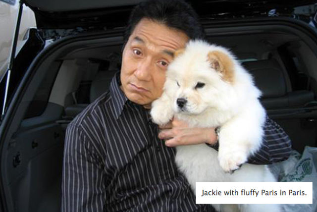 That’s Why Jackie Chan’s Facebook Page Rocks