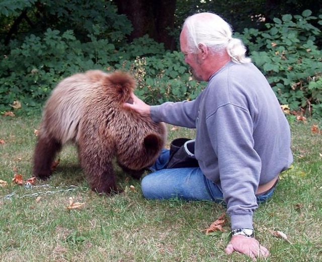 Canadian Couple Has Grizzly Bear Pet