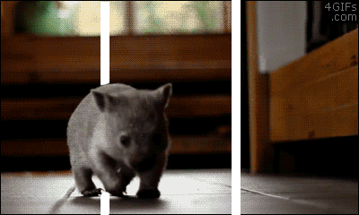 Gifs with 3D Effect