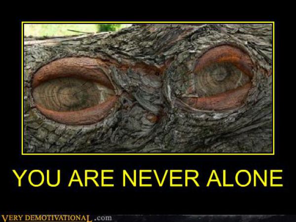 Demotivators Picdump