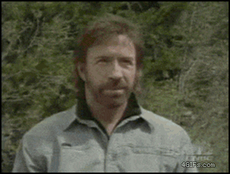 Chuck Norris GIF Selection