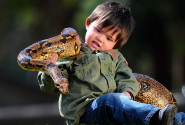 Australian Toddler Is a Real Snake Charmer