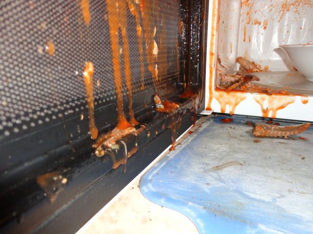 Microwave Nasty Disaster!