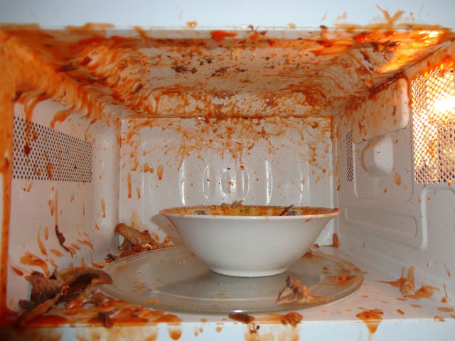 Microwave Nasty Disaster!
