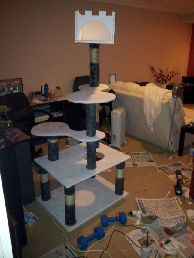 A Girl Builds a Tower for Her Cat