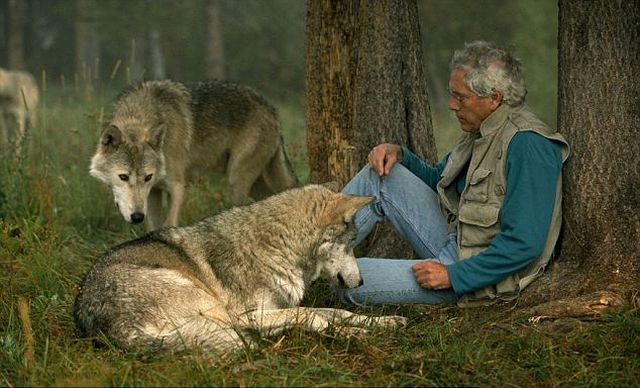 Living Among Wolves