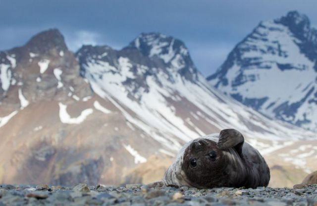 Cool Pics from 2012 National Geographic Photo Contest