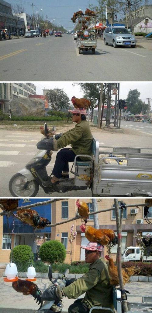 Crazy and Funny Pics Level: Asian