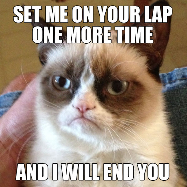Funny "Grumpy Cat" Meme Selection
