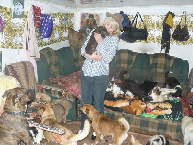 Woman Turned Her Home into Animal Shelter