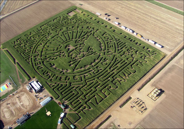 Amazing Corn Crop Maze Art