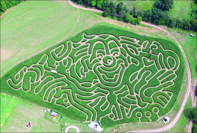 Amazing Corn Crop Maze Art