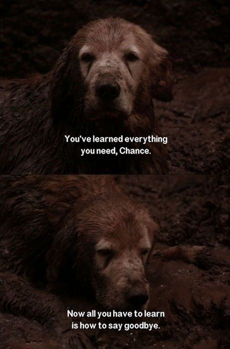 Heart-breaking Movie Moments From Your Childhood