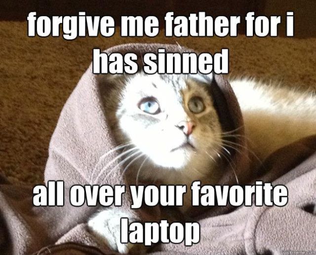 Biblical Moments If Jesus Was a Cat