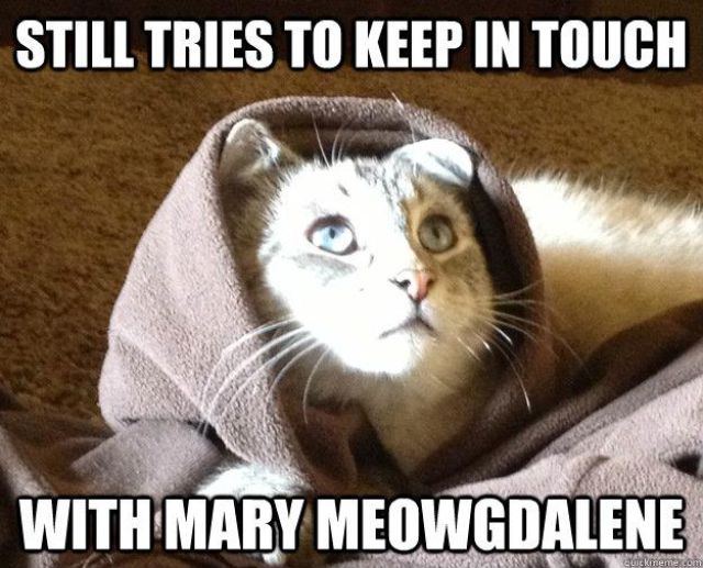 Biblical Moments If Jesus Was a Cat