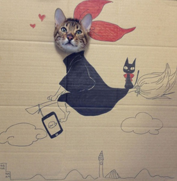 Cat in a Box…