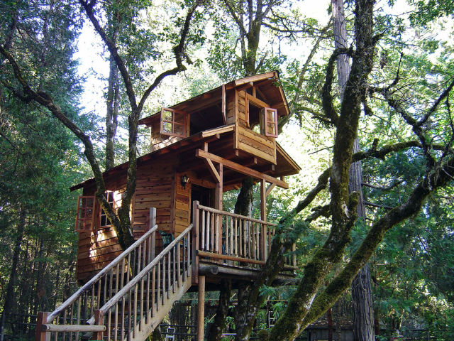 A Childhood Fantasy Come True: Tree Houses for “Grown Kids”!