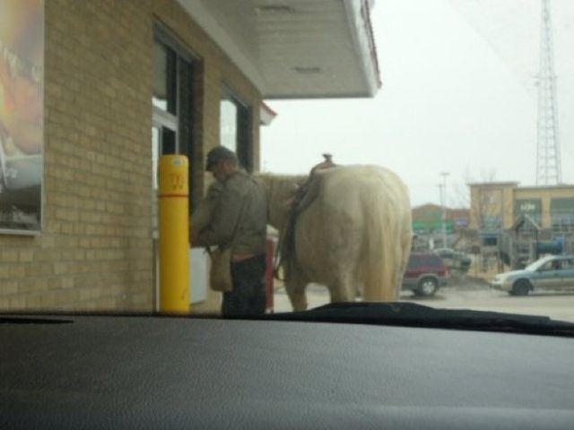 Things You Don’t Expect to See At A Drive-Thru!