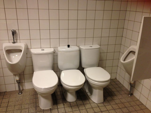 Toilet for friends