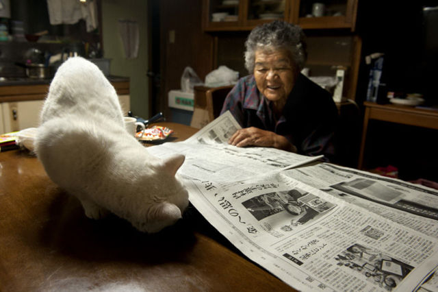 Special Friends: Granny and Her Cat