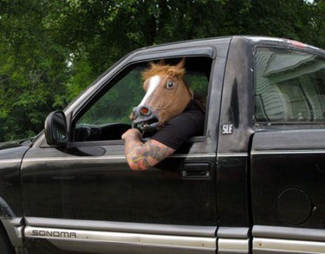 Just Horsing Around