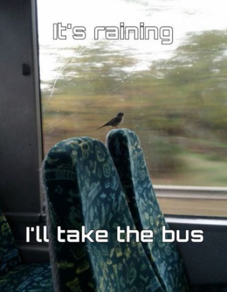 Photos Are Always Funnier When You Add a Caption