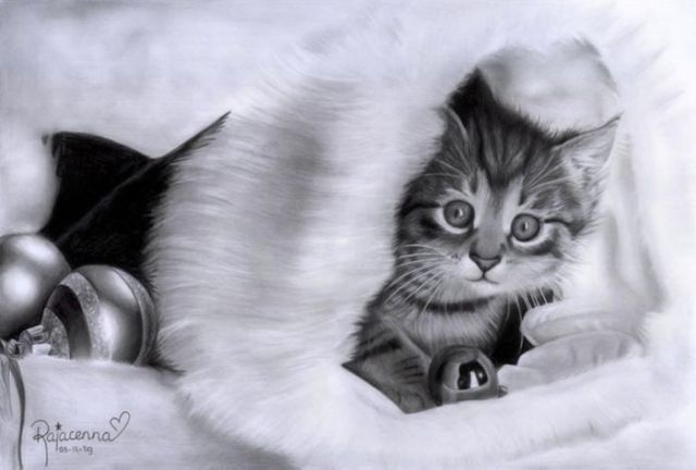 You Will Not Believe That These Are Simple Pencil Drawings