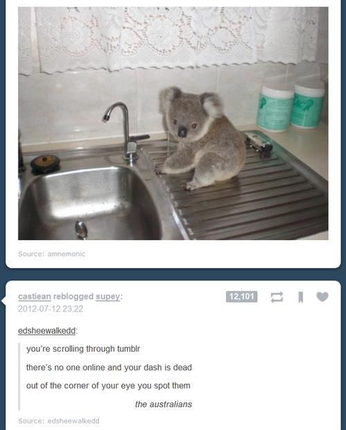 We Couldn’t Have Planned It Better: Hilarious Tumblr Coincidences