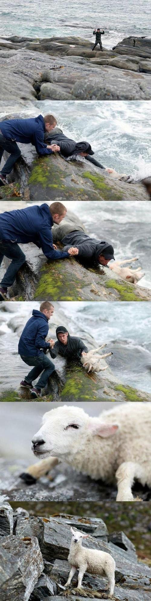 Inspiring Photos That Will Restore Your Faith in Humanity