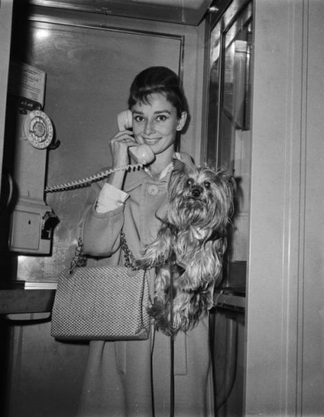 Captured in Time: A Glamorous Audrey Hepburn (31 pics) - Izismile.com