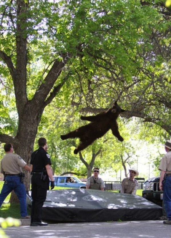 We Couldn’t Have Timed These Better: Most Well Timed Photos of the Year