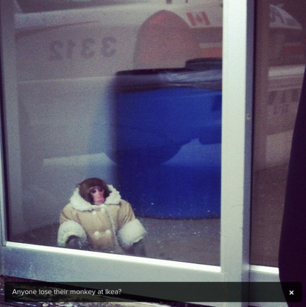 The Stylish Ikea Monkey