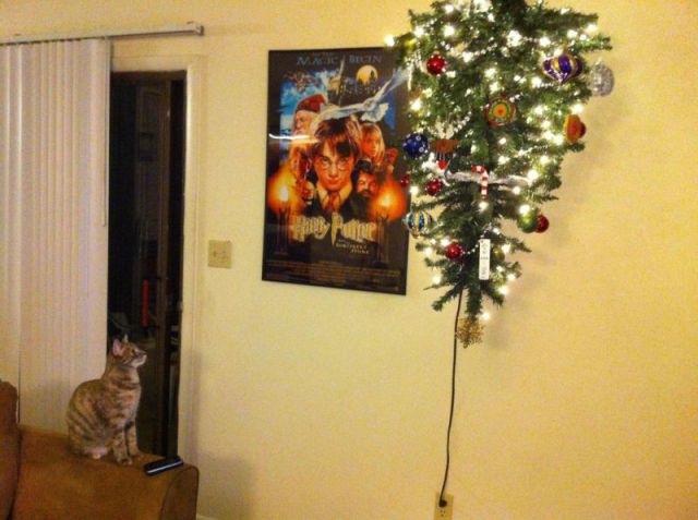 How to Protect Your Christmas Tree from Pesky Pets