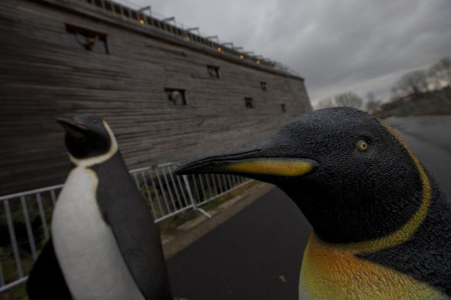 A Home-built Modern Day, Noah’s Ark