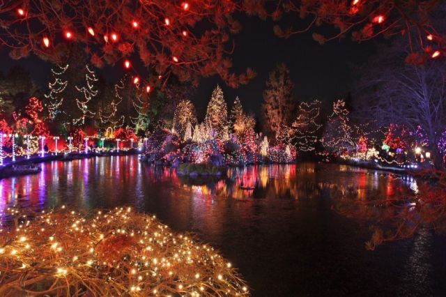 Amazing Christmas Lights (70 pics) - Izismile.com